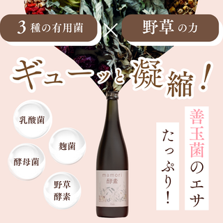 【医師監修】mamori酵素 ドリンク  産後ダイエット【送料無料】